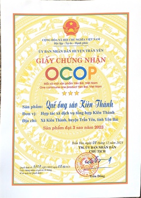 Quế ống sáo Kiên Thành