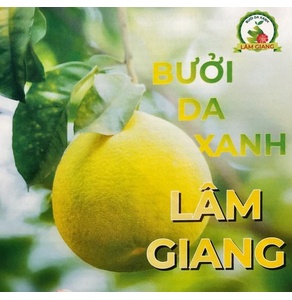 Bưởi da xanh Lâm Giang