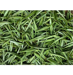 Trà Tứ Phủ - Hồng trà Shan tuyết cổ thụ 50g