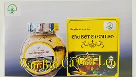 Cao bột cà gai leo