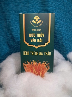 Đông trùng hạ thảo