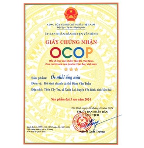 Ốc nhồi ống nứa