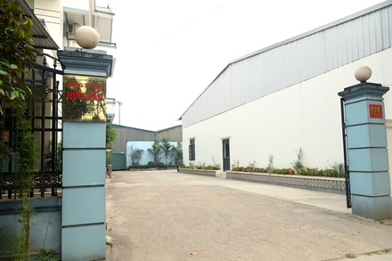 Chè xanh Ô Long