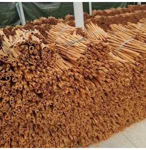 Quế bào ống sáo