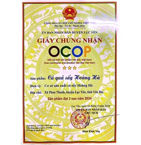 Cá quả sấy Hoàng Hà