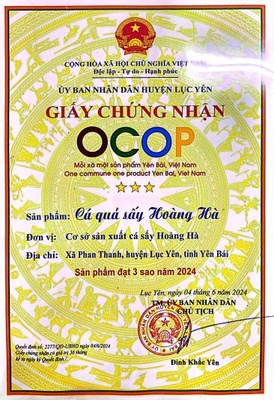 Cá quả sấy Hoàng Hà