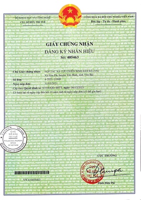 Chè xanh Hán Đà