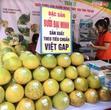 Bưởi đặc sản Đại Minh