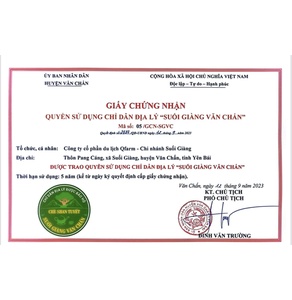 SUGITEA - Lục trà shan tuyết cổ thụ Suối Giàng