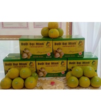 HTX Bưởi đặc sản Đại Minh