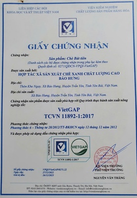 Tâm trà Bảo Hưng