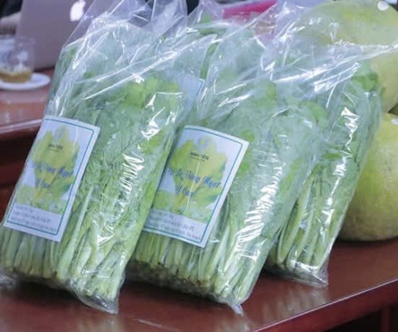 Cải bẹ vàng ngọt Y Can