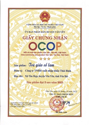 Trà giảo cổ lam 