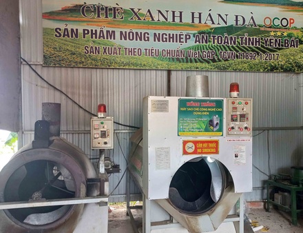 Chè xanh Hán Đà