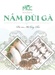 Nấm đùi gà