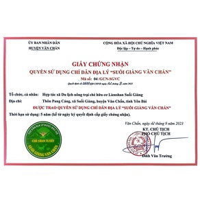Bạch nhất kim