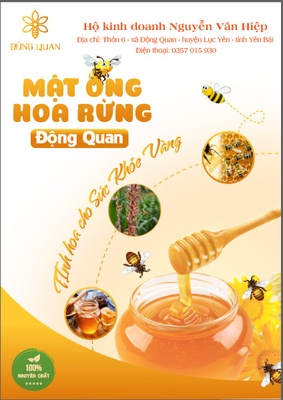 Mật ong hoa rừng Động Quan