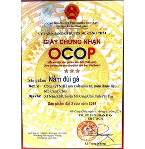 Nấm đùi gà