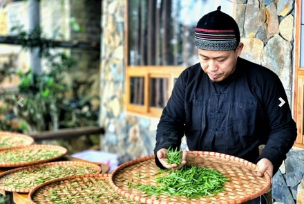 Hồng trà shan tuyết cổ thụ suối giàng - Cơi trà Sugi Tea