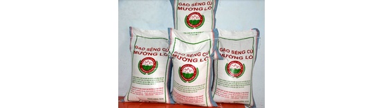 Hội sản xuất và kinh doanh gạo Mường Lò
