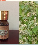 Tinh dầu Long Não