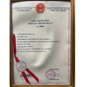 Trà cỏ ngọt Stevia Tây Bắc