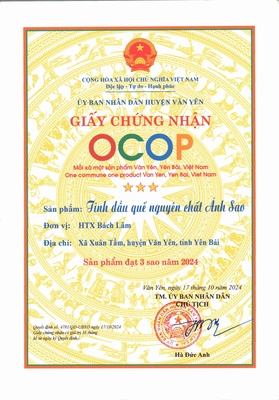 Tinh dầu quế nguyên chất Ánh Sao