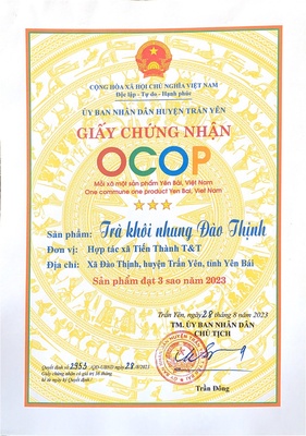 Trà Khôi Nhung Đào Thịnh