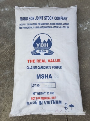Bột Canxi cacbonat tráng phủ MSHA2S