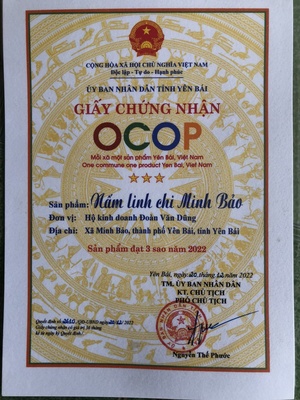 Nấm linh chi Minh Bảo