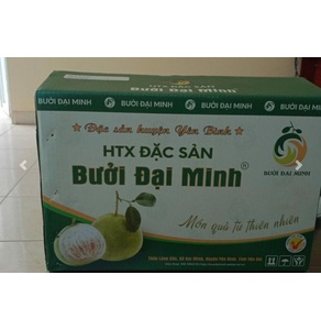 Bưởi đặc sản Đại Minh