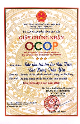 Đặc sản trà túi lọc Bát Tiên Bảo Hưng Trấn Yên