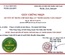 SUGITEA - Bạch trà shan tuyết cổ thụ Suối Giàng