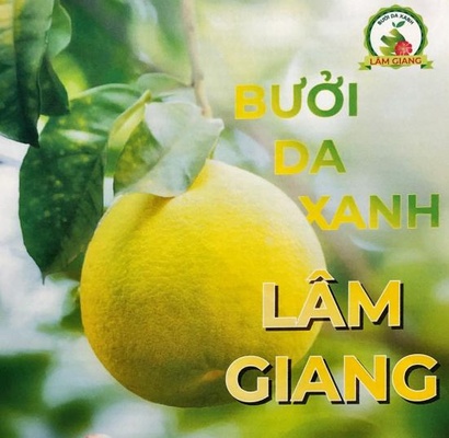 Bưởi da xanh Lâm Giang