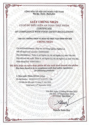Thanh long ruột đỏ Nghĩa Lộ