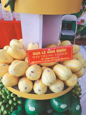 Dưa lê Hàn Quốc