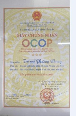 Trà quế Phương Nhung