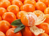 Cam đường canh Văn Chấn