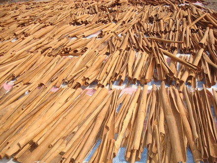 Quế vỏ