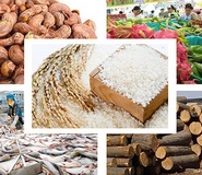 [Vietrade] Mời tham gia đoàn giao dịch thương mại tại Uzbekistan và Bulgaria 
