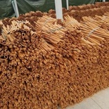 Quế bào ống sáo