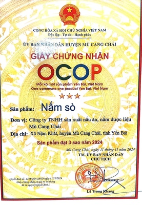 Nấm Sò