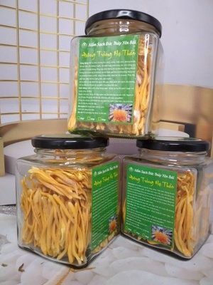 Đông trùng hạ thảo