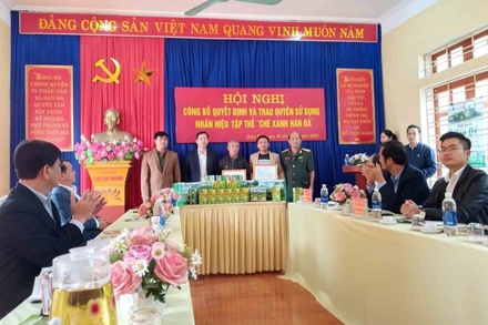 Chè xanh Hán Đà