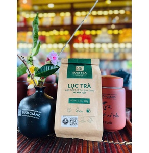 SUGITEA - Lục trà shan tuyết cổ thụ Suối Giàng