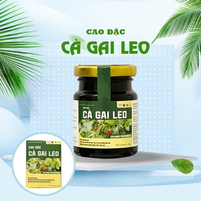 Cao đặc cà gai leo