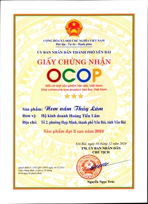 Nem nắm Thuỷ Lâm