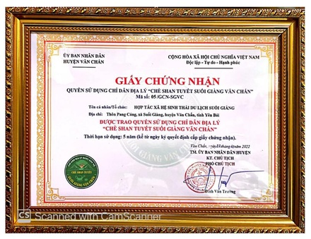 Trà Tứ Phủ - Bạch trà Shan tuyết cổ thụ 50g