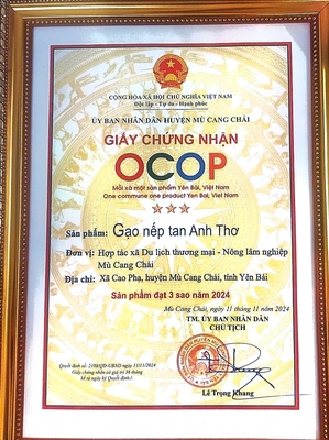 Gạo nếp tan Anh Thơ