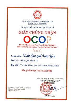 Tinh dầu quế Văn Yên